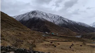 हिमाचल प्रदेश में आज भी वर्षा की संभावना है।