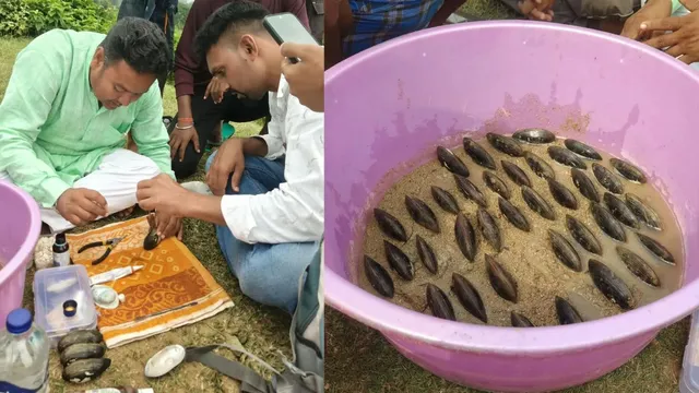 जमुई के 22 एकड़ के रेलवे तालाब में होगी मोती की खेती; 50 हजार सीप का लक्ष्य, किसानों को मिला वैज्ञानिक प्रशिक्षण
