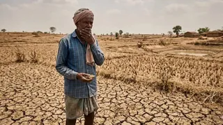 राजस्थान के 31 जिलों में चारे और पानी का संकट (फोटो- AI Generated)