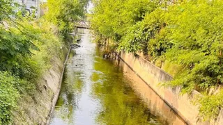 मानेसर के नवादा का औद्योगिक नाला, जागरण।