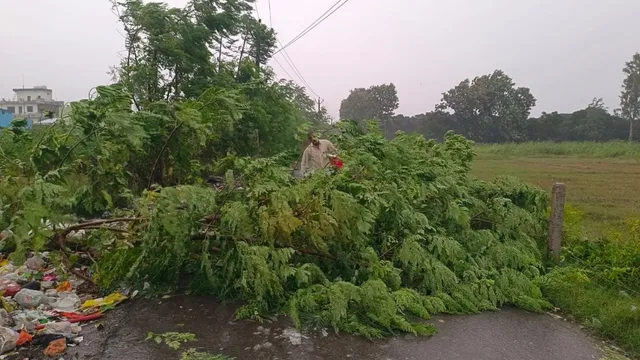 हरिद्वार में ओलावृष्टि के बाद फिर हुई बारिश और आंधी से कई पेड़ उखड़े, फसल बर्बाद होने से किसान परेशान
