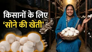 प्रतीकात्मक प्रस्तुतीकरण के लिए तस्वीर को एआई टूल की मदद से बनाया गया है।
