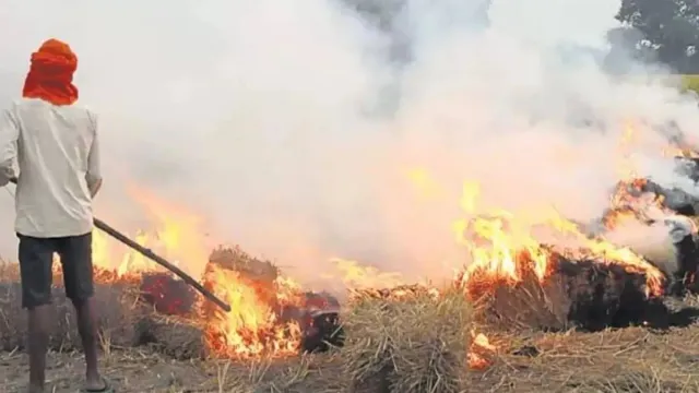 उत्तर प्रदेश में पराली जलाई तो खैर नहीं, 15 हजार जुर्माना लगेगा; सैटेलाइट से की जाएगी निगरानी
