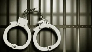 तस्वीर का इस्तेमाल प्रस्तुतिकरण के लिए किया गया है।