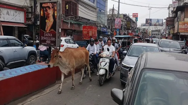 'कनाट प्लेस' जैसी शान, लेकिन पार्किंग, रोशनी और सफाई जैसी बुनियादी सुविधाओं की कमी से जूझ रहा मेरठ का आबू लेन बाजार