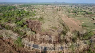 बगोदर के अंबाडीह में आधा किमी की परिधि में धरती के नीचे मिला ताम्र अयस्क।