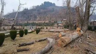 जम्मू-कश्मीर की 7,087 वर्ग किमी वन भूमि पर पेड़ नहीं होने का दावा।