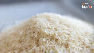 चावल निर्यात को लेकर बढ़ी चिंता!