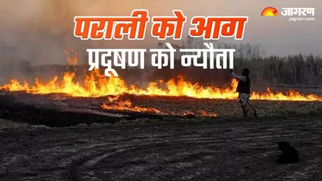 धान कटते ही सुलगने लगा पंजाब! पराली जलाने के मामलों ने पार किया पिछला रिकॉर्ड, अमृतसर-तरनतारन में हालात खराब