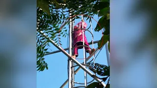 शादी की जिद पर टावर पर चढ़ी युवती।