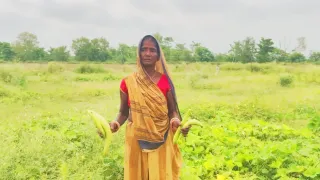 जीविका ने संवारी सुमित्रा की जिंदगी