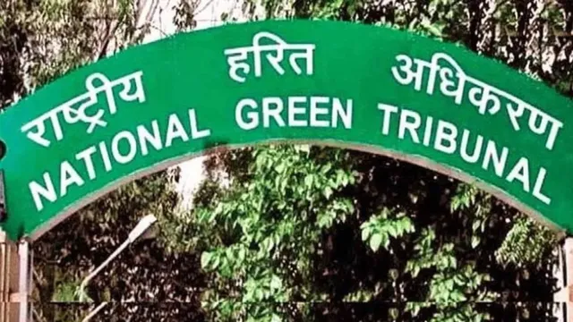 मथुरा: चार सड़कों के चौड़ीकरण पर एनजीटी का ब्रेक, पहले बताना होगा कितने कटेंगे पेड़