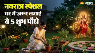 नवरात्रि में लगाने योग्य शुभ पौधे