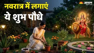नवरात्रि में लगाने योग्य शुभ पौधे