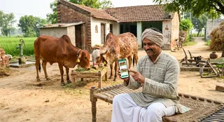 यह तस्वीर AI जेनेरेटेड है