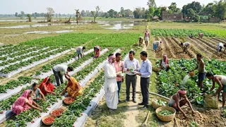 बढ़ेगी मुजफ्फरपुर के किसानों की आय (एआई जेनरेटेड तस्वीर)