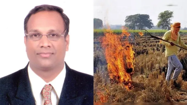 पराली प्रबंधन से चमकेगी किसानों की किस्मत, मिट्टी की उर्वरता के साथ जेब भी भरेगी; जानिए HAU के प्रोफेसर का फॉर्मूला
