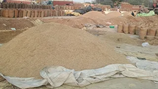 बारिश में भीगने के बाद धनीपुर मंडी में सूखता धान।