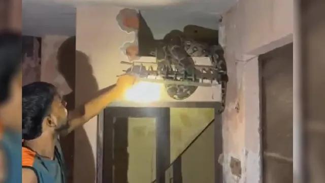 11 फीट लंबा, 45 KG वजन... हरियाणा के यमुनानगर में 10 दिन बंद कमरे के रोशनदान में फंसा रहा अजगर; ऐसे किया गया रेस्क्यू

