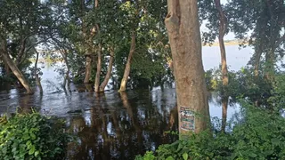 बस्ती में कुआनो नदी के उफान से श्मशान घाट डूबा।