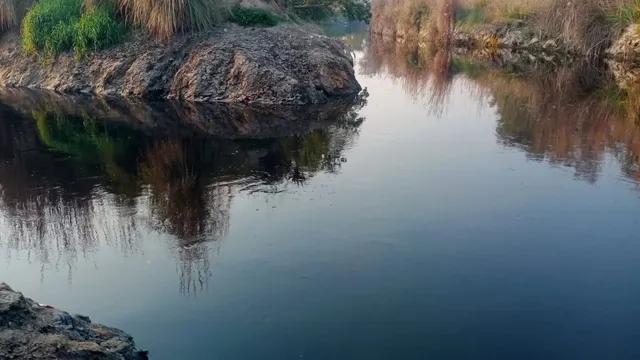 पानीपत में फैक्ट्रियों पर कार्रवाई के बाद भी ड्रेन में प्रदूषण बरकरार, अभी भी बह रहा केमिकल का पानी

