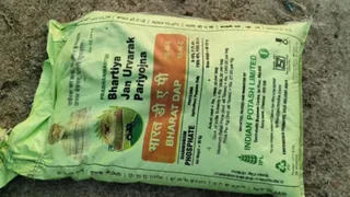मुरैना में हरे बोरों में भरा जा रहा था नकली खाद। (फोटो- जागरण)