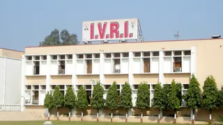 आईवीआरआई