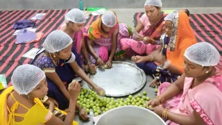 खेती से कमाई में हिस्सेदार बनेंगी समूह की महिलाएं।