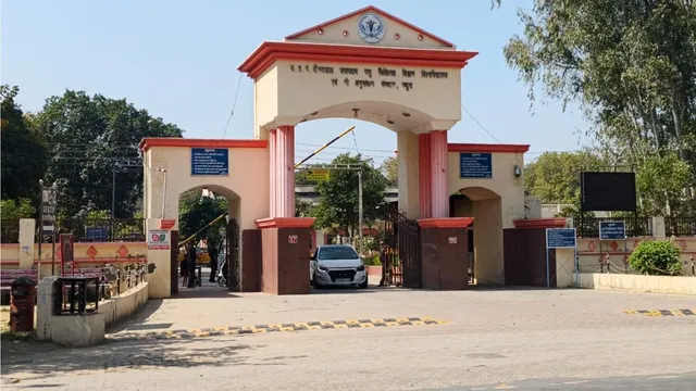 BVSc डिग्री से बनें पशु चिकित्सा अधिकारी या सेना में कैप्टन: जानें करियर विकल्प