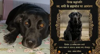 बर्फी की फाइल फोटो व शोक संदेश। जागरण