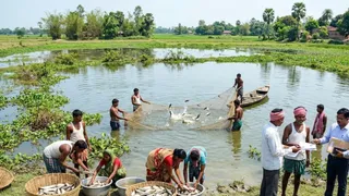 चौर क्षेत्रों में शुरू होगा मछली पालन (एआई जेनरेटेड तस्वरी)