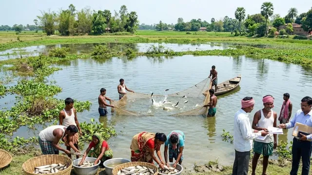 सुपौल में जलजमाव बनेगा कमाई का जरिया, चौर क्षेत्रों में शुरू होगा मछली पालन; किसानों की बढ़ेगी आय
