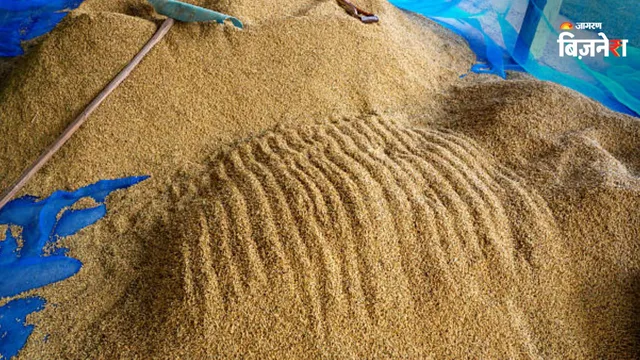देश के बफर स्टॉक में लिमिट से 3 गुना अधिक अनाज, 1.9 करोड़ टन चावल का आना बाकी! खाद्य सब्सिडी की चिंता के बीच FCI लेगा लोन?