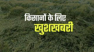 News Article Hero Image