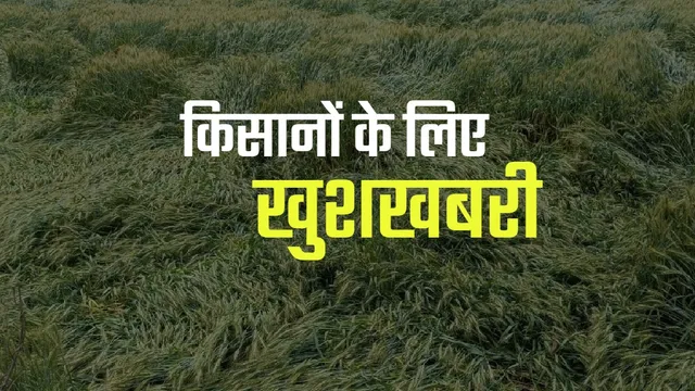 बलिया में 100 केंद्रों पर होगी धान खरीद, एमएसपी बढ़ने से किसानों को मिलेगा लाभ