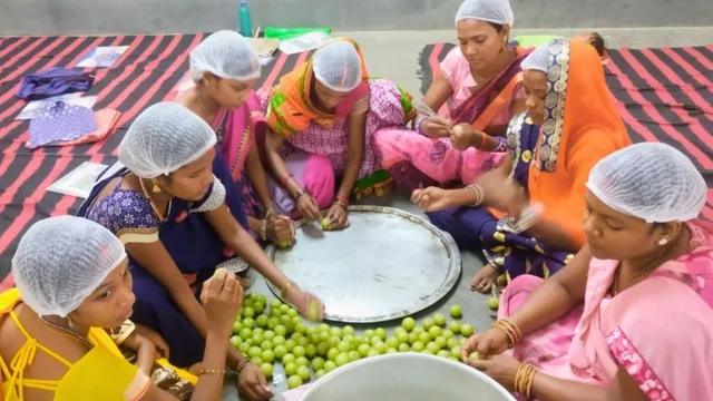 सोनभद्र में खेती से कमाई में हिस्सेदार बनेंगी समूह की महिलाएं, एफपीसी से खुलेगी स्वावलंबन की राह
