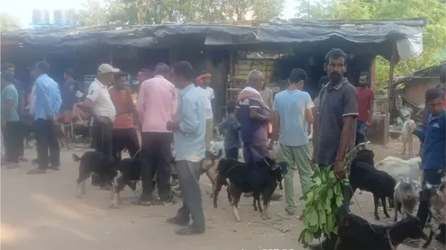 दशहरा पर बकरा बाजार गुलजार: जमुई में ₹1000 प्रति किलो तक पहुंचे दाम, काले रंग की सबसे ज्यादा डिमांड
