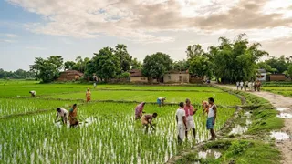 भोजपुर में मानसून की विदाई: जून-अगस्त में कमी, सितंबर में राहत की बारिश से फसलों को फायदा (AI Generated Image)
