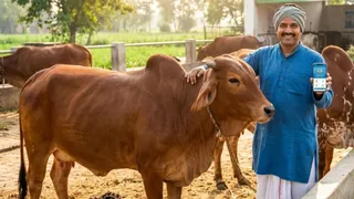 प्रतीकात्मक प्रस्तुतीकरण के लिए तस्वीर को एआई टूल की मदद से बनाया गया है।