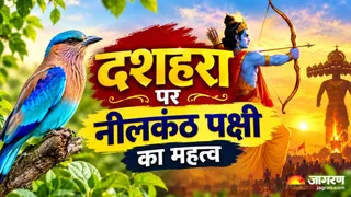 दशहरा पर नीलकंठ पक्षी देखने का धार्मिक लाभ