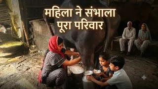 भैंस का दूध निकालतीं संध्या कुमारी।