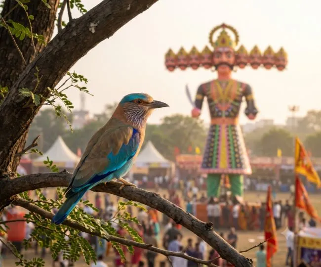 dussehra 2026 neelkanth bird significance story lord ram shiva mythology