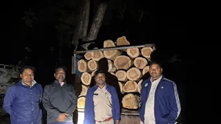 वन विभाग की टीम को आते देख चालक और अन्य तस्कर अंधेरे का फायदा उठाकर फरार होने में सफल रहे।