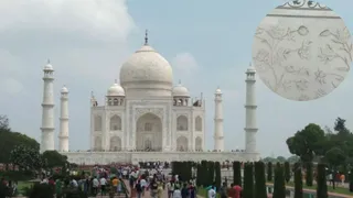 इंसेट में ताजमहल में यमुना किनारा की तरफ स्थित पच्चीकारी के पैनल पर जमा कीड़े द्वारा छोड़ी गई गंदगी के दाग। जागरण