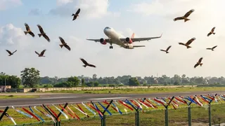 एआई द्वारा जेनरेट इमेज।