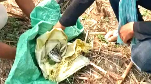 30 फीट के विशाल अजगर से पूरे गांव में मचा हड़कंप, हापुड़ वन विभाग की टीम ने किया रेस्क्यू
