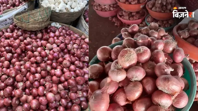 लहसुन-प्याज की खेती को बढ़ावा दे रही सरकार, अनुसूचित जाति के किसानों को मिलेगा अनुदान