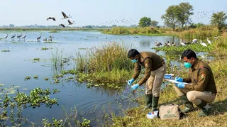 इस फोटो को AI के माध्यम से तैयार किया गया है।