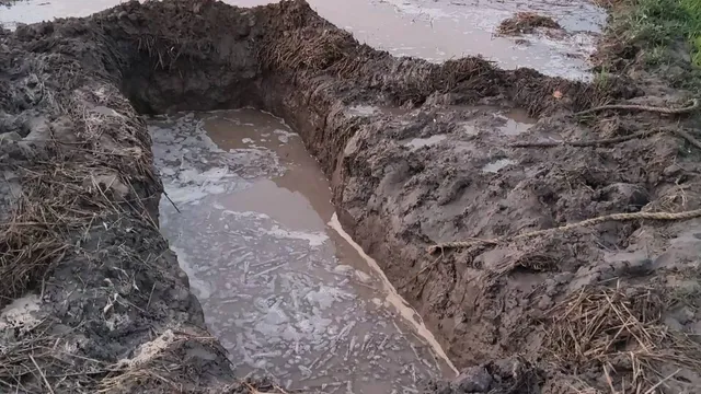करनाल में बारिश में डूबी लहसुन की फसल, बचाने के लिए खोदा 12 फुट का गड्डा; उसी में डूबकर बच्चे की मौत

