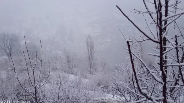 Himachal Weather: हिमाचल में केलंग और कुकुमसेरी में जमावबिंदु से नीचे तापमान, मौसम विभाग ने जारी किया अलर्ट
